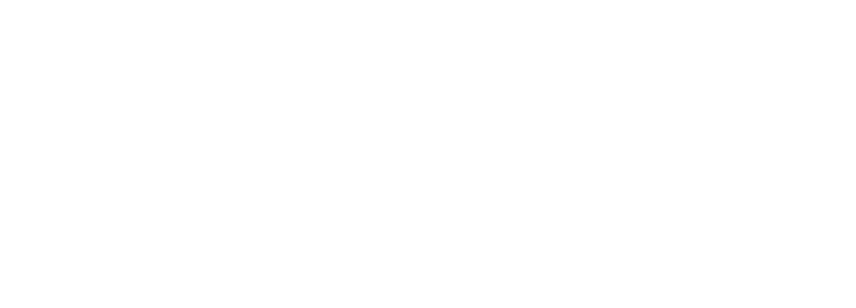 Cruces Professional Services